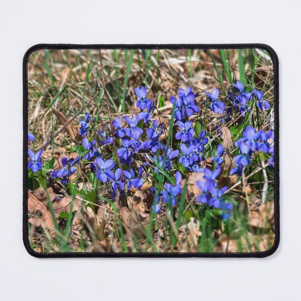 Item preview, Blue violet designed and sold by Gabszab.
