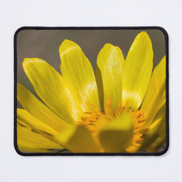 Item preview, Spring Adonis designed and sold by Gabszab.