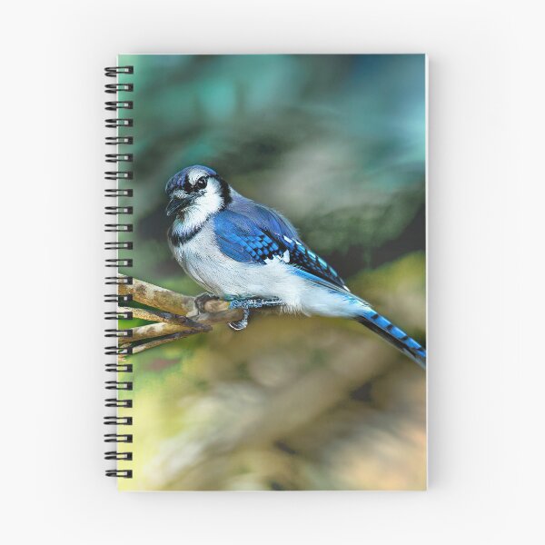 Item preview, American Blue Jay Perching designed and sold by Kay Brewer.