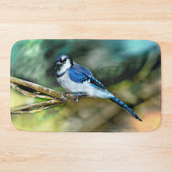 Item preview, American Blue Jay Perching designed and sold by Kay Brewer.