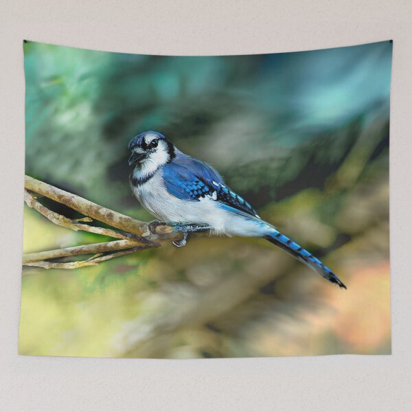 Item preview, American Blue Jay Perching designed and sold by Kay Brewer.