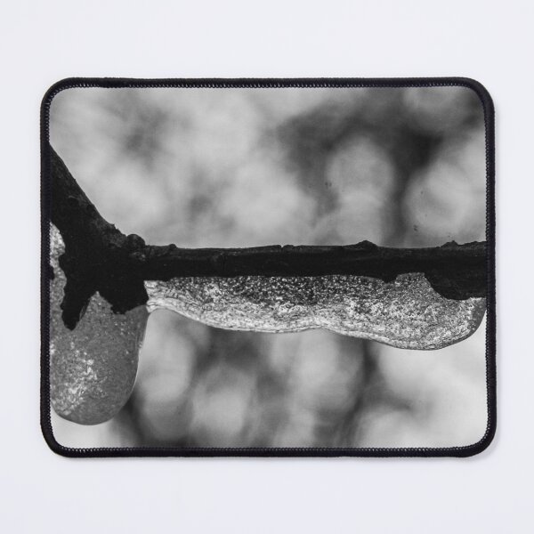 Item preview, Frozen branch in winter. designed and sold by Gabszab.