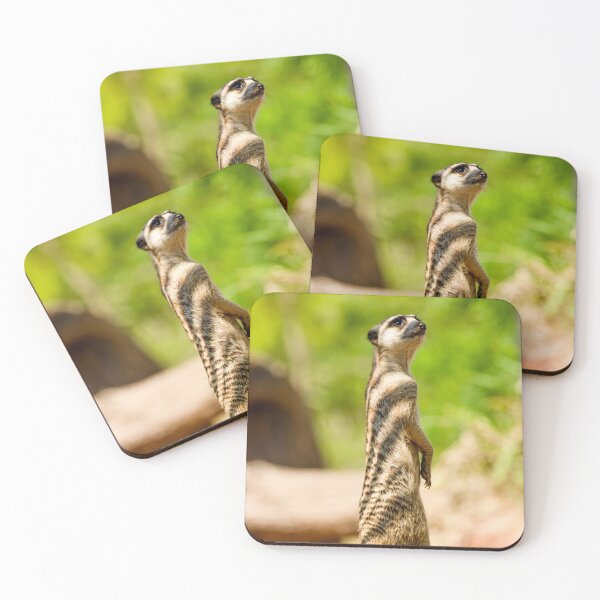 Item preview, Standing Meerkat designed and sold by LiamBudaiPhotography.