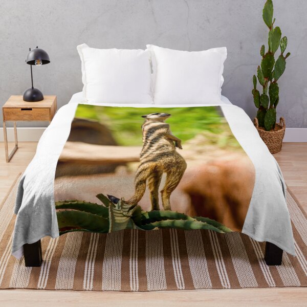 Item preview, Standing Meerkat designed and sold by LiamBudaiPhotography.