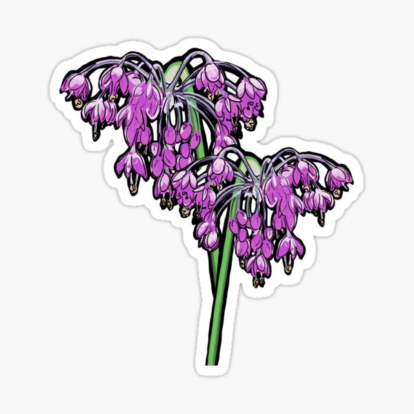 Vista previa del artículo con la obra «Flor de cebolla que asiente», diseñado y vendido por SNDYafternoon.