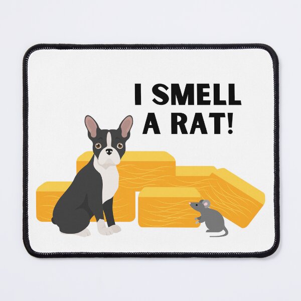 Item preview, Boston Terrier I Smell A Rat Barn Hunt designed and sold by Mop Dog Designs.
