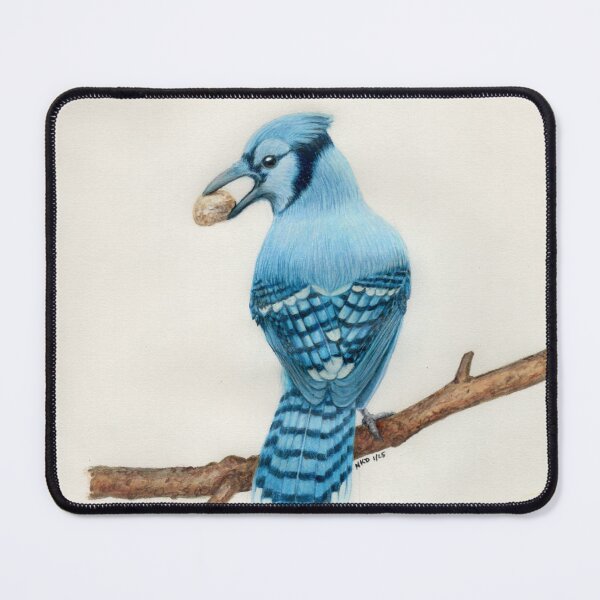 Aperçu de l'œuvre Blue Jay créée et vendue par Art by Nancy Dennehy.