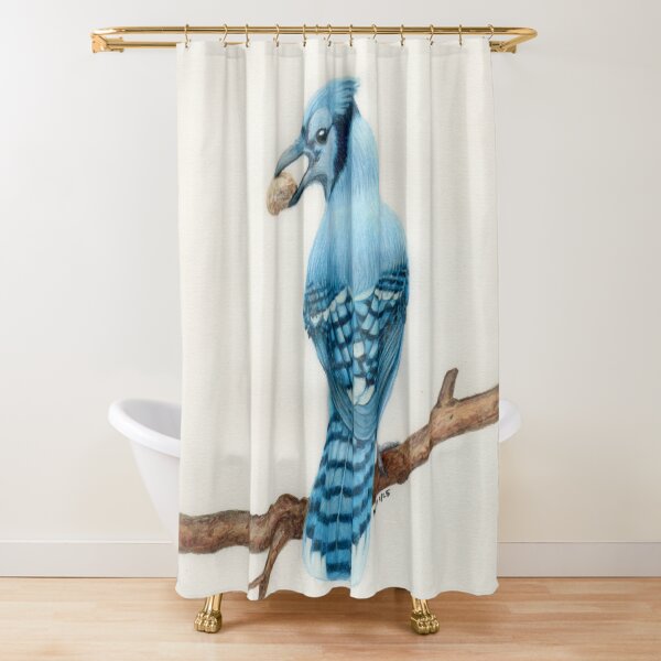 Aperçu de l'œuvre Blue Jay créée et vendue par Art by Nancy Dennehy.