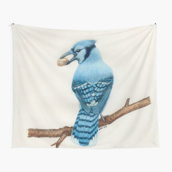 Aperçu de l'œuvre Blue Jay créée et vendue par Art by Nancy Dennehy.