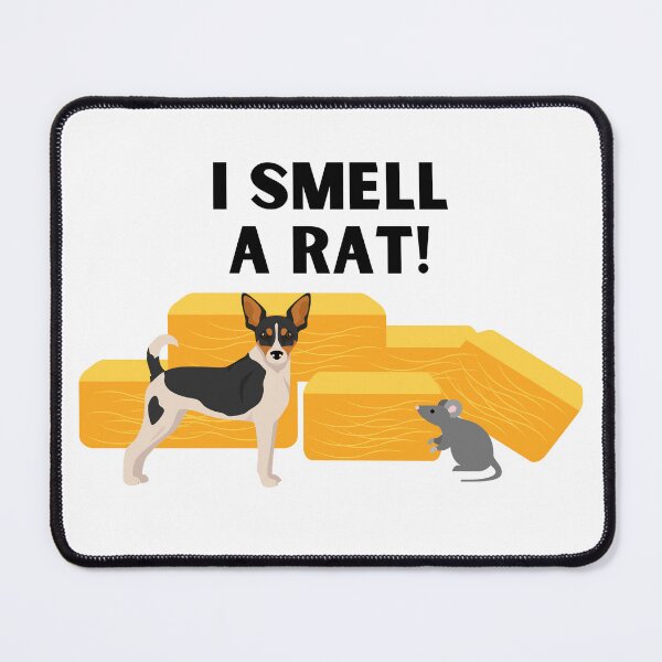 Item preview, Rat Terrier I Smell A Rat Barn Hunt designed and sold by Mop Dog Designs.
