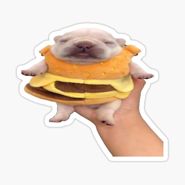 Item preview, Burger Pibble designed and sold by buryniceshop.