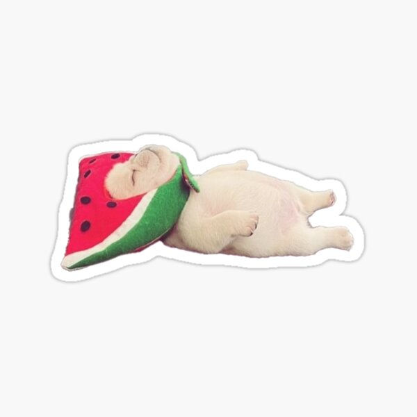 Item preview, Watermelon Pibble designed and sold by buryniceshop.