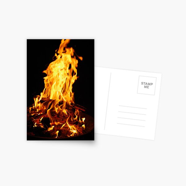 birthday bonfire Postcard