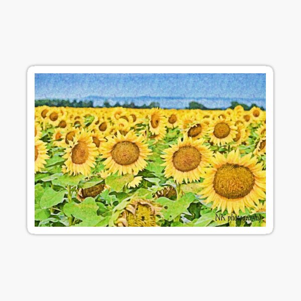 Item preview, Sunflower field designed and sold by Nicholes  Dream Visions.