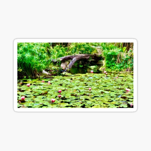 Item preview, Water Lilies on the Pond designed and sold by Pamela Storch.