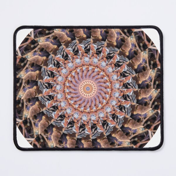 Item preview, Multicolored Pinecones KaleidoBioscope 02 designed and sold by Kaleidobioscope.