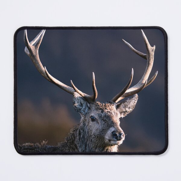 Item preview, Red Deer Stag designed and sold by Tom McPherson Photography.