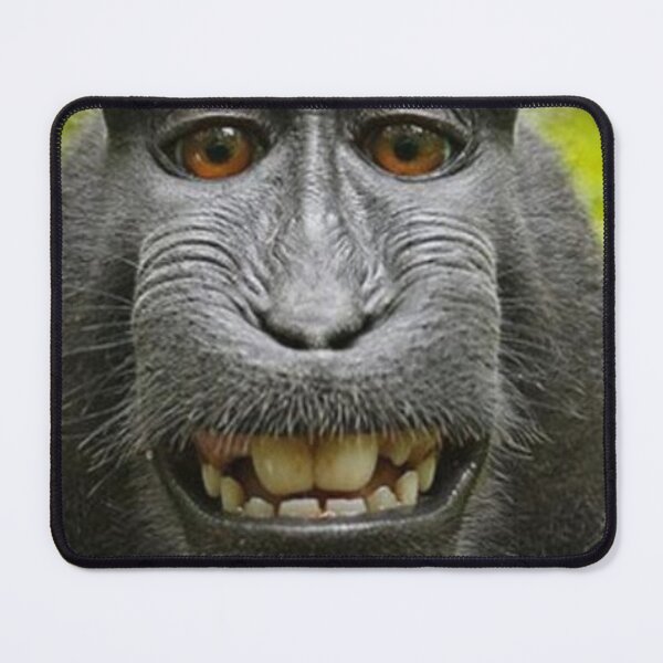 Item preview, Meme monkey designed and sold by Forest Groove.
