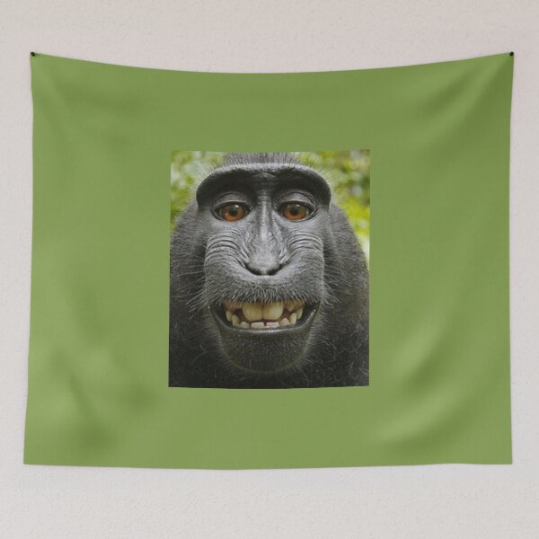 Item preview, Meme monkey designed and sold by Forest Groove.