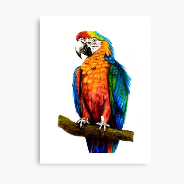 Item preview, Colombian macaw designed and sold by Caroposadart.