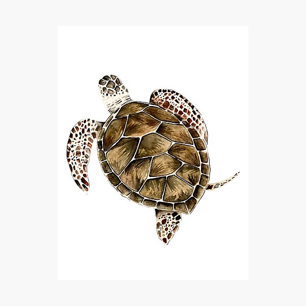 Item preview, Hawksbill turtle designed and sold by Caroposadart.