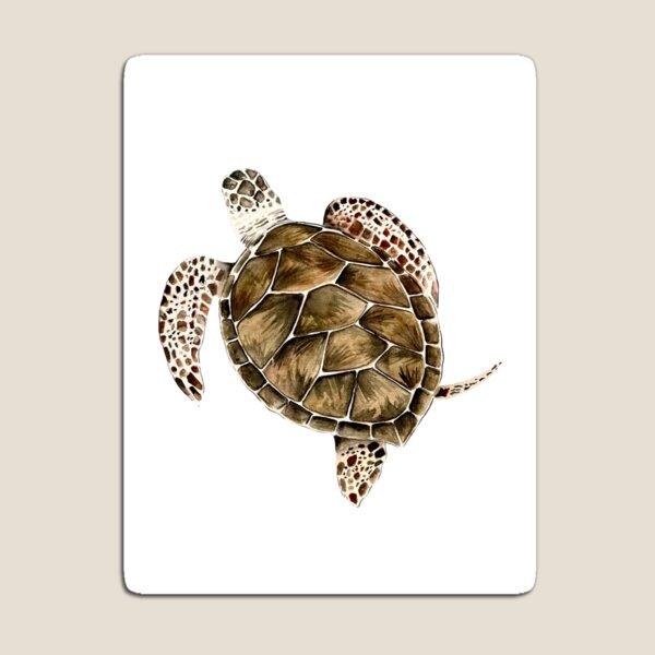 Vista previa del artículo con la obra «Tortuga carey», diseñado y vendido por Caroposadart.