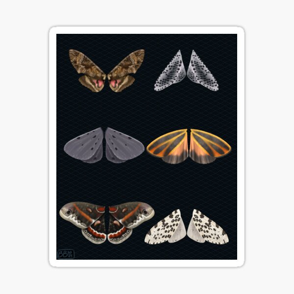 Item preview, Moth Wings designed and sold by DigitalBryn.