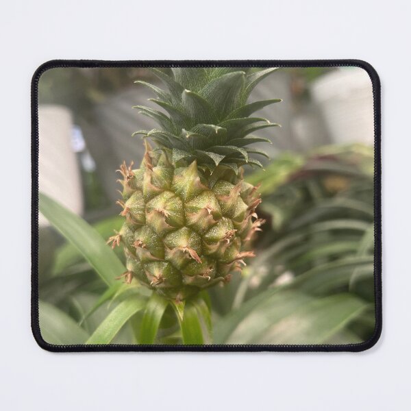 Item preview, Pineapple  designed and sold by Lauracolleen3.