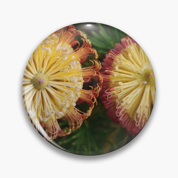 Item preview, Banksia spinulosa, ( 2 ) designed and sold by Larry Davis.