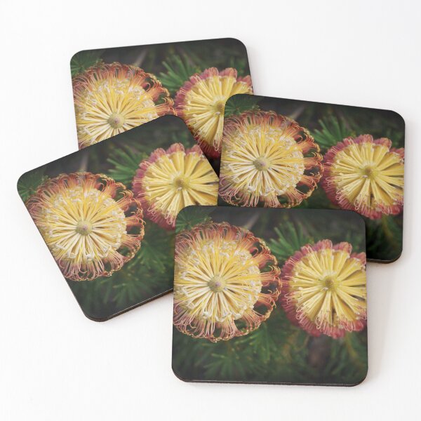 Item preview, Banksia spinulosa, ( 2 ) designed and sold by Larry Davis.