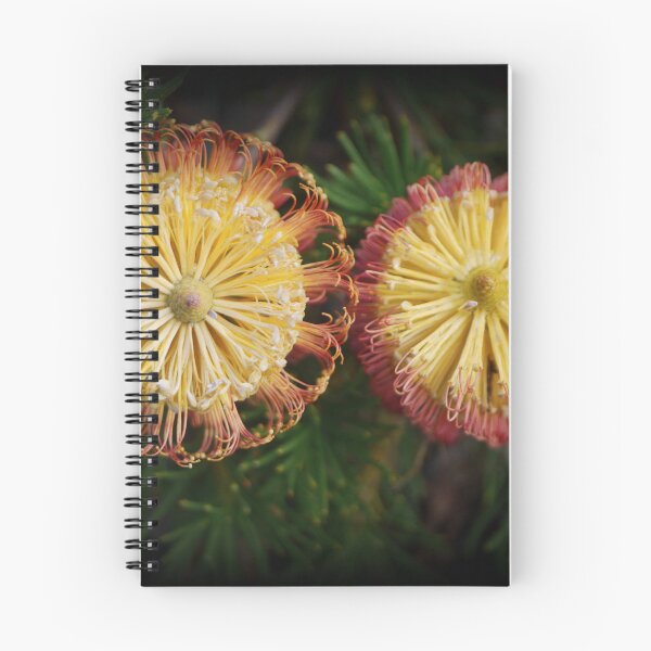 Item preview, Banksia spinulosa, ( 2 ) designed and sold by Larry Davis.