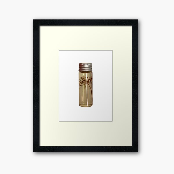 Item preview, QUEEN ANNE'S LACE WET SPECIMEN designed and sold by Chili Cake.