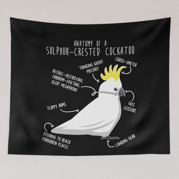 Item preview, Sulphur-Crested Cockatoo Parrot Anatomy designed and sold by Clara Hollins.