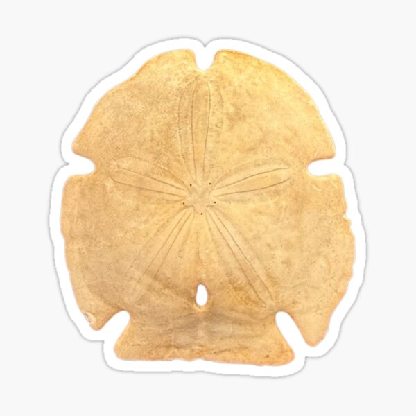 Item preview, SAND DOLLAR designed and sold by Chili Cake.