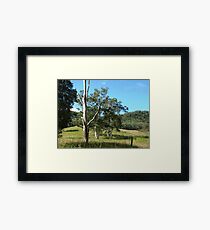 GHOST GUM Framed Print