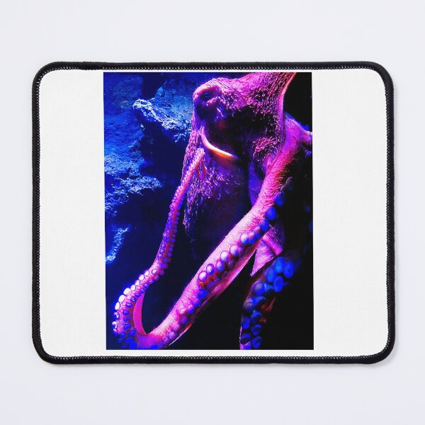 Item preview, OCTOPUS designed and sold by Lorridge.