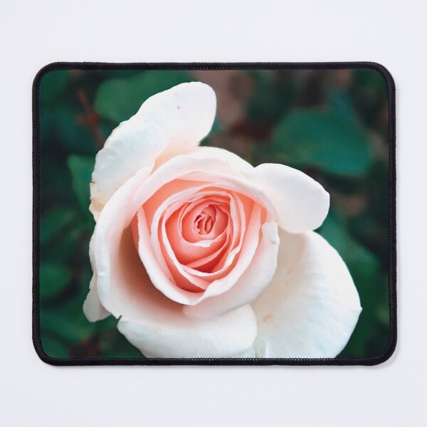 Item preview, Blush of Nature designed and sold by shegoes-photo.