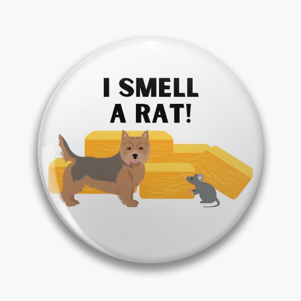 Item preview, Norwich Terrier I Smell A Rat Barn Hunt designed and sold by Mop Dog Designs.