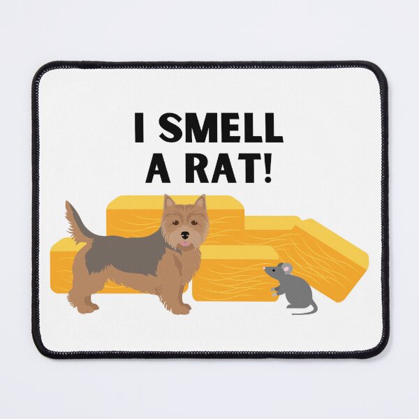 Item preview, Norwich Terrier I Smell A Rat Barn Hunt designed and sold by Mop Dog Designs.