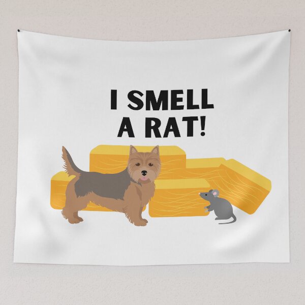 Item preview, Norwich Terrier I Smell A Rat Barn Hunt designed and sold by Mop Dog Designs.