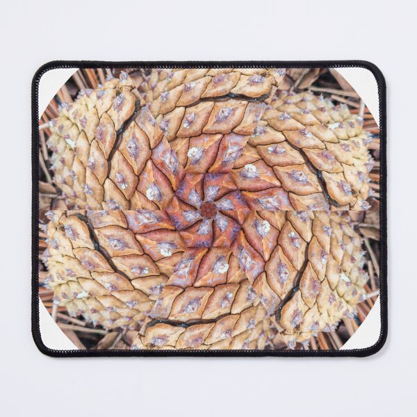 Item preview, Multicolored Pinecones KaleidoBioscope 04 designed and sold by Kaleidobioscope.