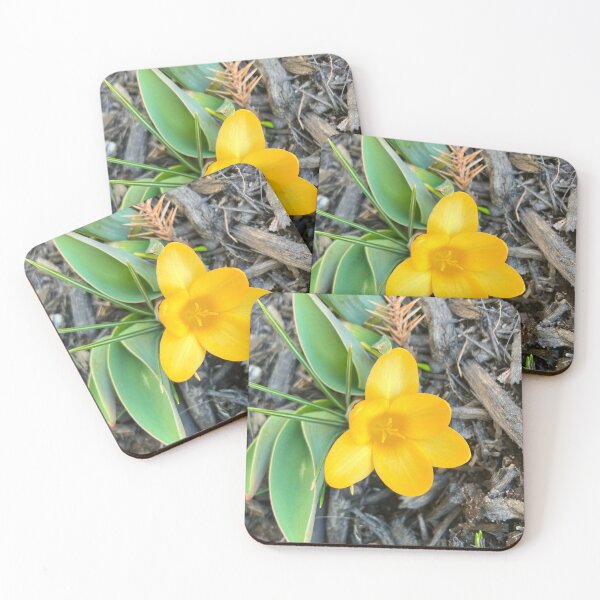Item preview, Yellow Crocus designed and sold by Amanda1775.