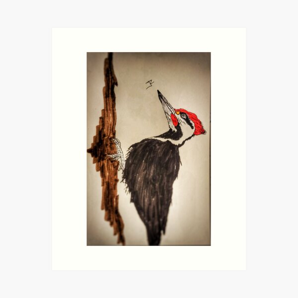 Item preview, Woodpecker designed and sold by Valliorart.