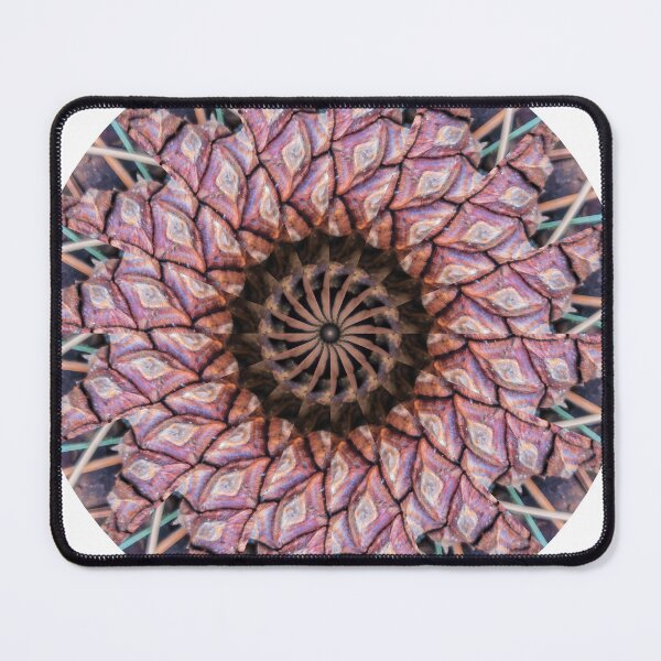 Item preview, Multicolored Pinecones KaleidoBioscope 12 designed and sold by Kaleidobioscope.