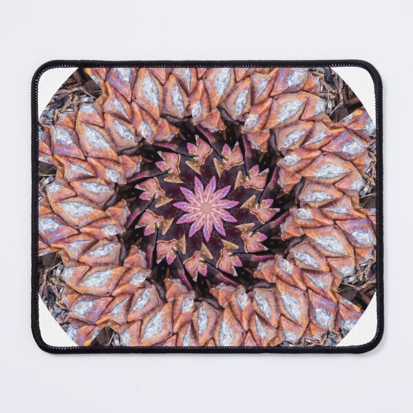 Item preview, Multicolored Pinecones KaleidoBioscope 15 designed and sold by Kaleidobioscope.