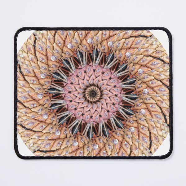 Item preview, Multicolored Pinecones KaleidoBioscope 16 designed and sold by Kaleidobioscope.