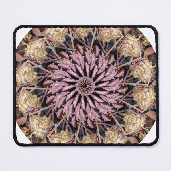 Item preview, Multicolored Pinecones KaleidoBioscope 21 designed and sold by Kaleidobioscope.