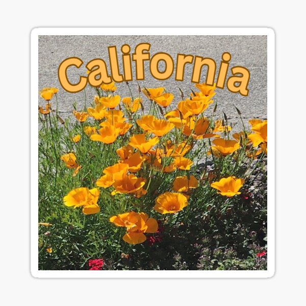 Item preview, California Poppy with California across designed and sold by Lizzilzil.
