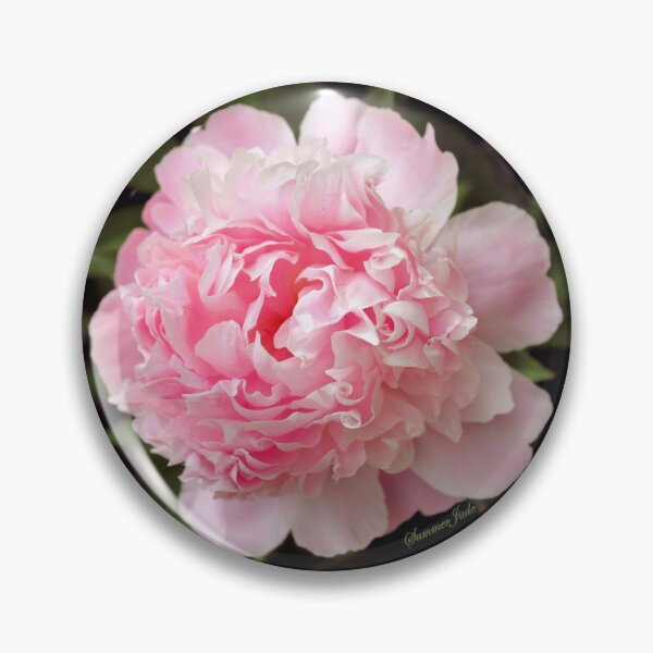 Item preview, Peony ~ You Are the Dancing Queen! designed and sold by SummerJade.