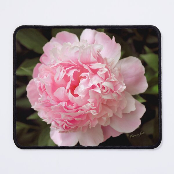 Item preview, Peony ~ You Are the Dancing Queen! designed and sold by SummerJade.
